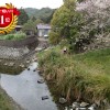 日本一短い川って和歌山にあるの？塩川なの？ランキング発表！